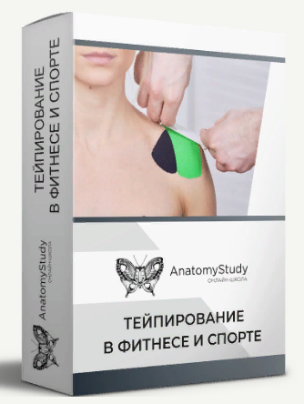 [Анатомия] Андрей Богатырев - Тейпирование в фитне_0.png